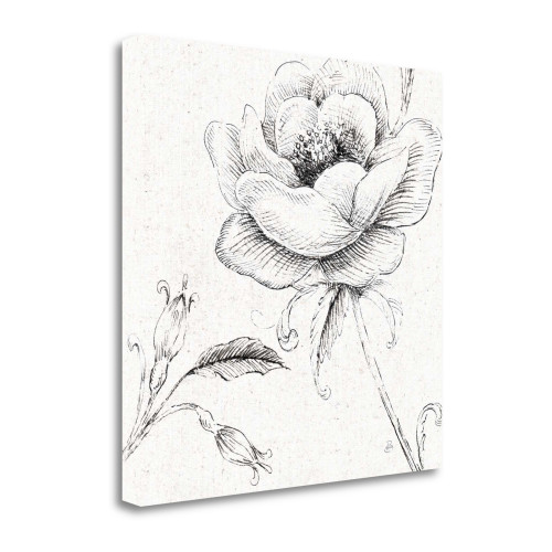 Blossom Sketches II Wrapped Canvas Print Living Room Wall Art