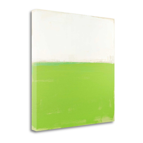 Fresh Green 3 Wrapped Canvas Print Living Room Wall Art