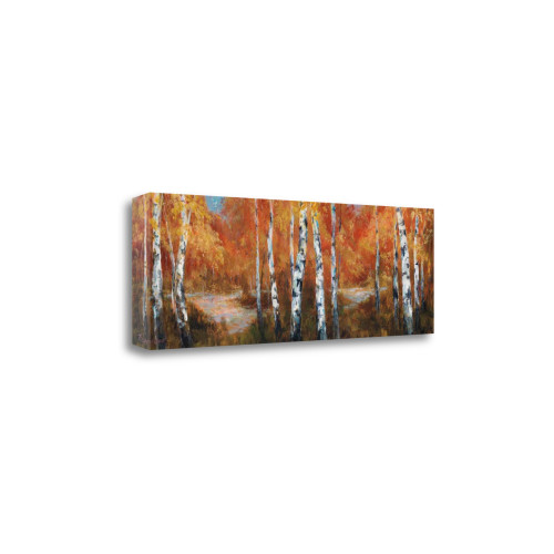 Autumn Birch Ii Wrapped Canvas Print Wall Art
