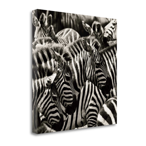 Camouflage II Wrapped Canvas Print Living Room Wall Art