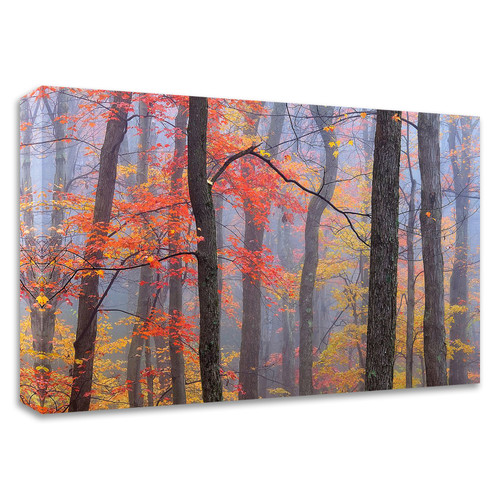 "Fire In The Fog" Wrapped Canvas Print Wall Art