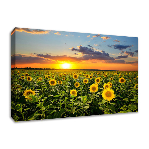 Sunflower Sunset 2 Wrapped Canvas Print Wall Art