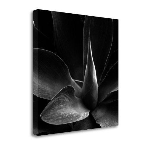 Flower 2 Wrapped Canvas Print Living Room Wall Art