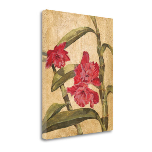 Hawaiian Tropics Iii Wrapped Canvas Print Wall Art