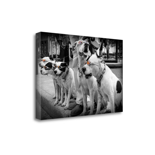 Afternoon Stroll 2 Wrapped Canvas Print Living Room Wall Art