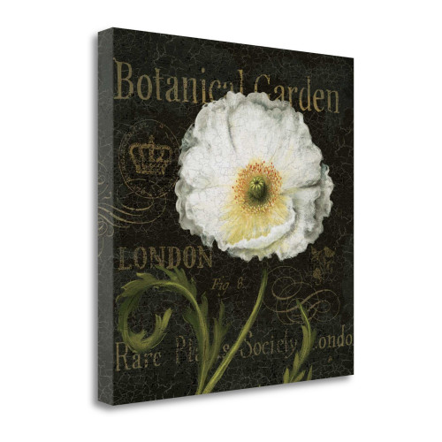 Botanical Garden II Wrapped Canvas Print Living Room Wall Art