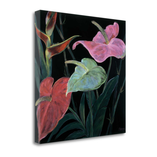 In Bloom II Wrapped Canvas Print Living Room Wall Art