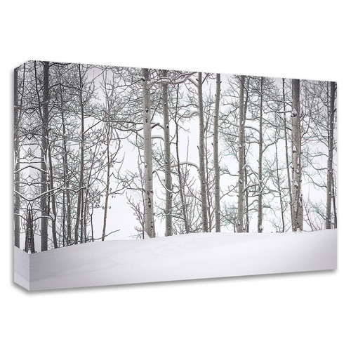"Behind Cloister Doors" Wrapped Canvas Print Wall Art