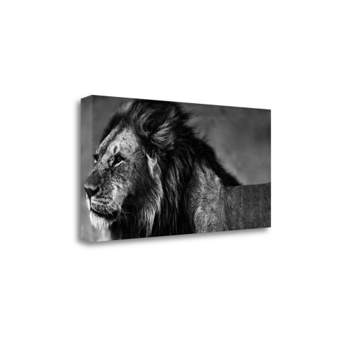 Lion Eyes 1 Wrapped Canvas Print Living Room Wall Art