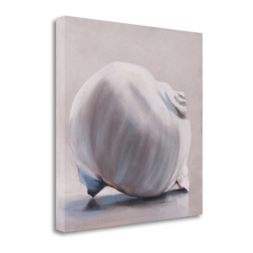 Moon Snail 2 Wrapped Canvas Print Living Room Wall Art
