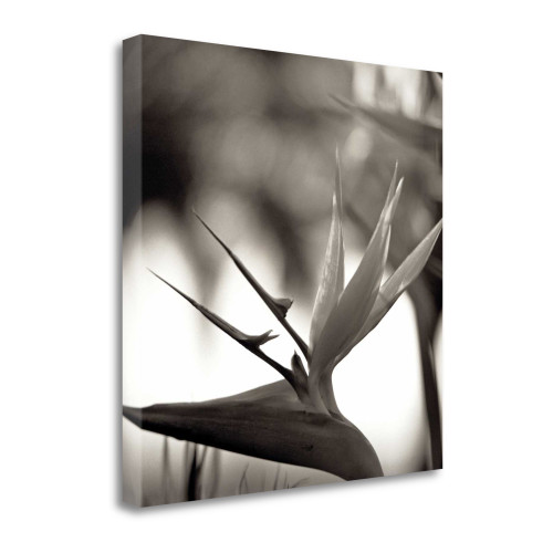 Florison 29 Wrapped Canvas Print Living Room Wall Art