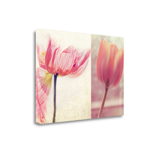 Poppy And Tulip 2 Wrapped Canvas Print Wall Art