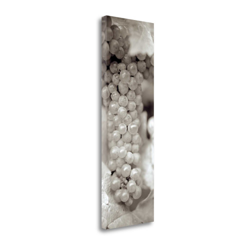 Grapes Pano 12 Wrapped Canvas Print Living Room Wall Art