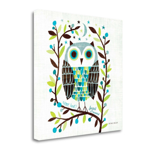 Night Owl I Square Wrapped Canvas Print Living Room Wall Art