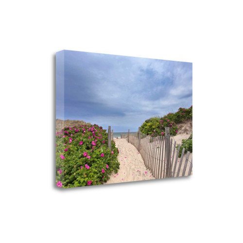 Rose Path 4 Wrapped Canvas Print Living Room Wall Art