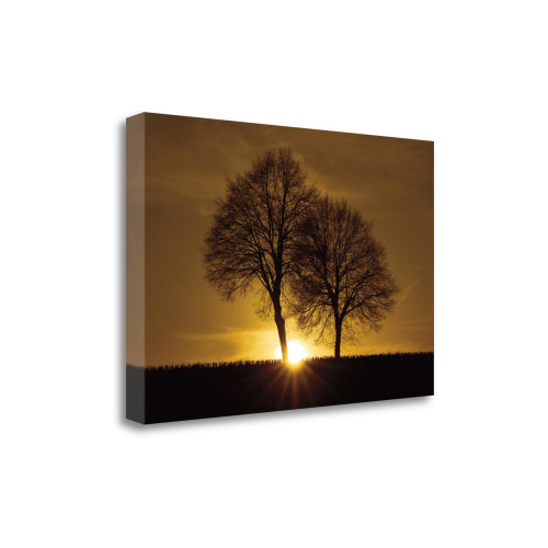 A New Beginning 5 Wrapped Canvas Print Wall Art