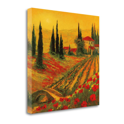 Poppies Of Toscano I Wrapped Canvas Print Wall Art