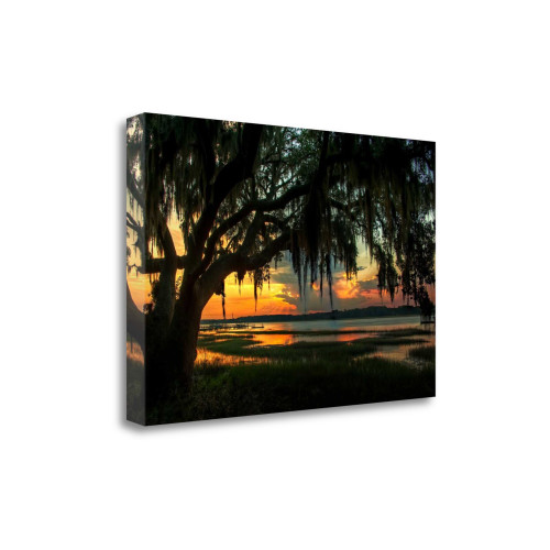 Savannah Evening 2 Wrapped Canvas Print Wall Art