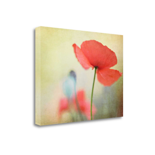 Poppy 3 Wrapped Canvas Print Living Room Wall Art