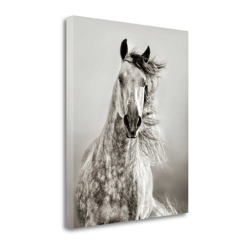 Caballo De Andaluz 2 Wrapped Canvas Print Living Room Wall Art
