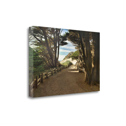 47" Forest Walk by the Beach Print on Gallery Wrap Canvas Wall Art