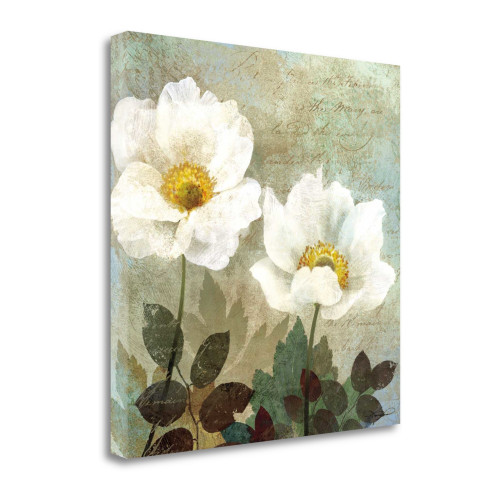 Anemone Ii Wrapped Canvas Print Wall Art