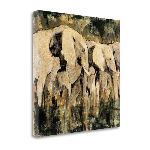 Heart Of The Jungle Iii Wrapped Canvas Print Wall Art