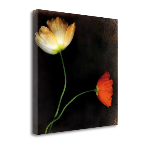Icelantic Poppies 2 Wrapped Canvas Print Wall Art