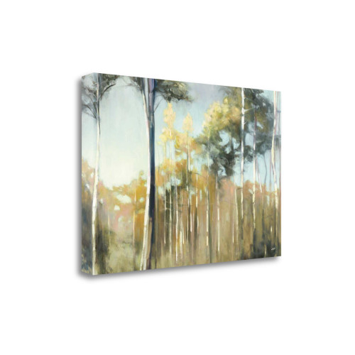 Aspen Reverie 3 Wrapped Canvas Print Living Room Wall Art