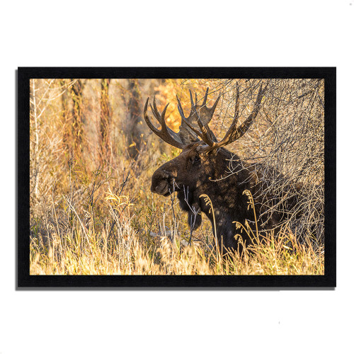 Black Antler Moose Framed Photograph Print Black Picture Frame Print Wall Art