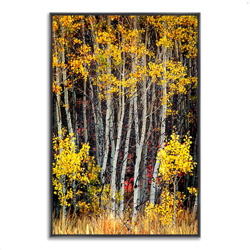 In The Aspens 6 Black Wrapped Canvas Print Wall Art