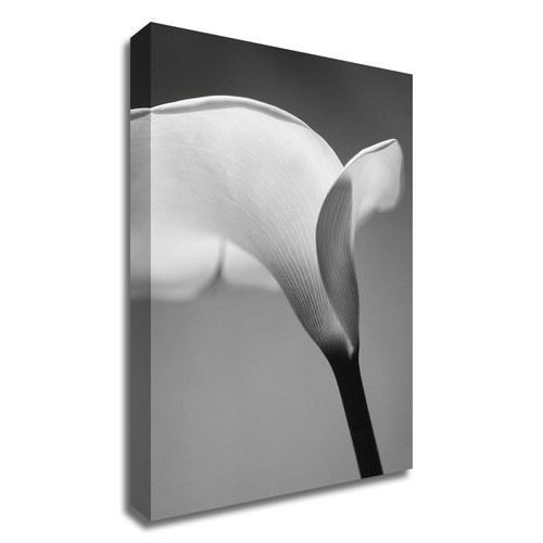 "Calla No. 6" Wrapped Canvas Print Wall Art