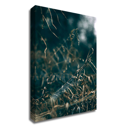 Secret 1 Wrapped Canvas Print Wall Art