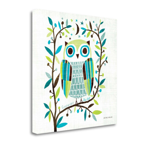 Night Owl II Square Wrapped Canvas Print Living Room Wall Art