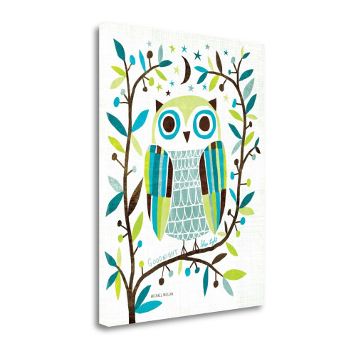 Night Owl II Wrapped Canvas Print Living Room Wall Art