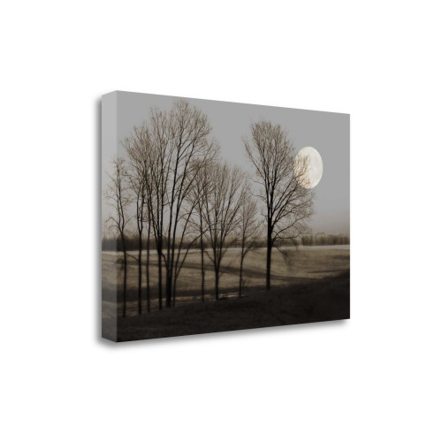November Moon 4 Wrapped Canvas Print Wall Art