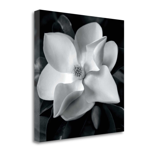 Magnolia 3 Wrapped Canvas Print Living Room Wall Art