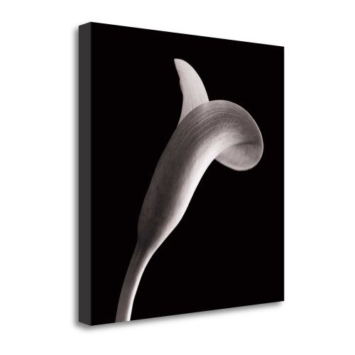 Lilies 1 Wrapped Canvas Print Wall Art