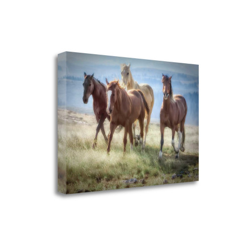 Morning Stroll 4 Wrapped Canvas Print Wall Art