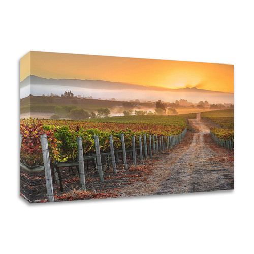Vineyard Sunrise Wrapped Canvas Print Wall Art