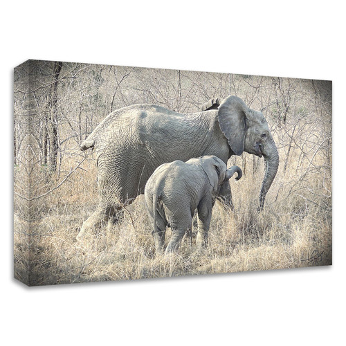 "Elephants" Wrapped Canvas Print Wall Art