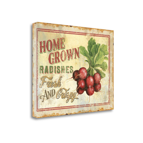 Fresh IV Wrapped Canvas Print Living Room Wall Art