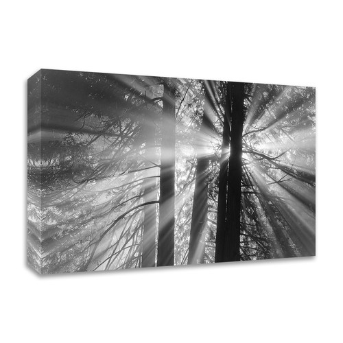 Rays Wrapped Canvas Print Wall Art