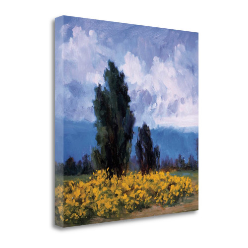 Golden Age 5 Wrapped Canvas Print Wall Art
