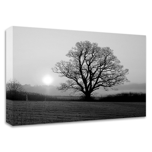 "Meadow Tree" Wrapped Canvas Print Wall Art