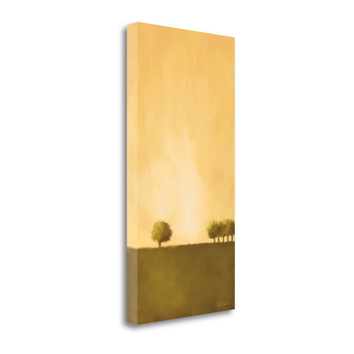 Cluster Of Trees Ii Wrapped Canvas Print Wall Art