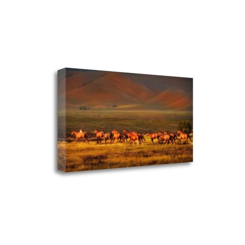 Montana Dreaming 1 Wrapped Canvas Print Living Room Wall Art