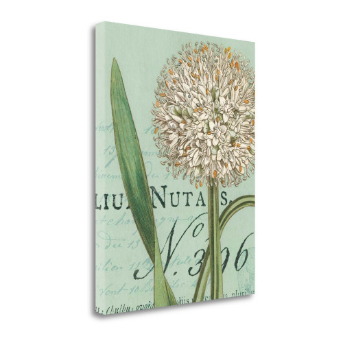 Botanique Bleu II Wrapped Canvas Print Living Room Wall Art