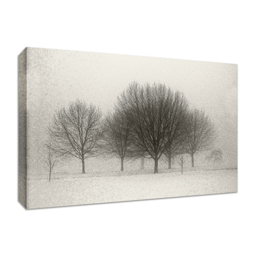 Fading Memories 1 Wrapped Canvas Print Wall Art
