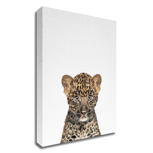 "Leopard" Wrapped Canvas Print Wall Art